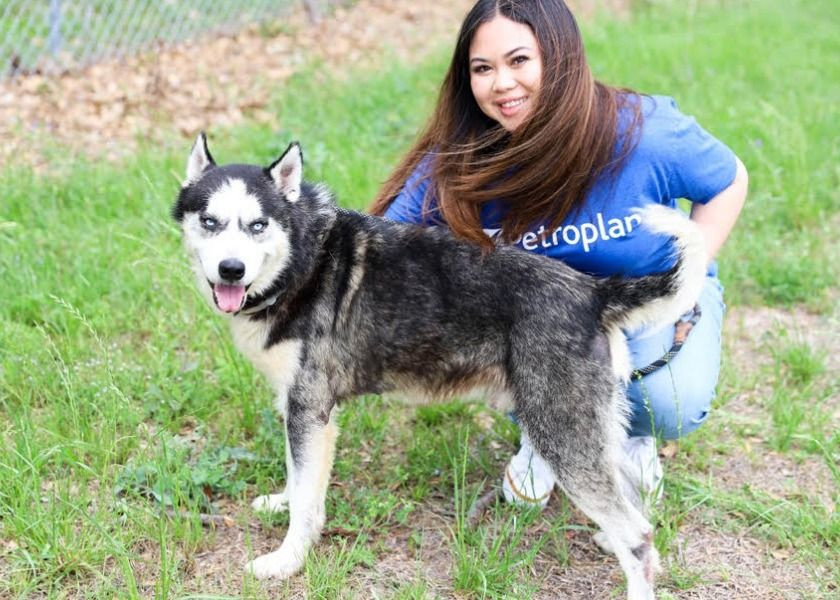 Houston team volunteers at the Rescued Pets Movement